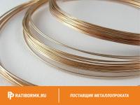 Проволока бронзовая 0.2 мм БРОЦСН3-8-4-1