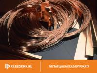 Проволока бронзовая 0.55 мм БРОЦСН3-8-4-1