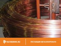 Проволока бронзовая 11 мм БРОЦСН3-8-4-1